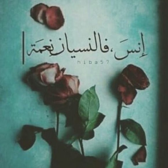 mariam_mohamed